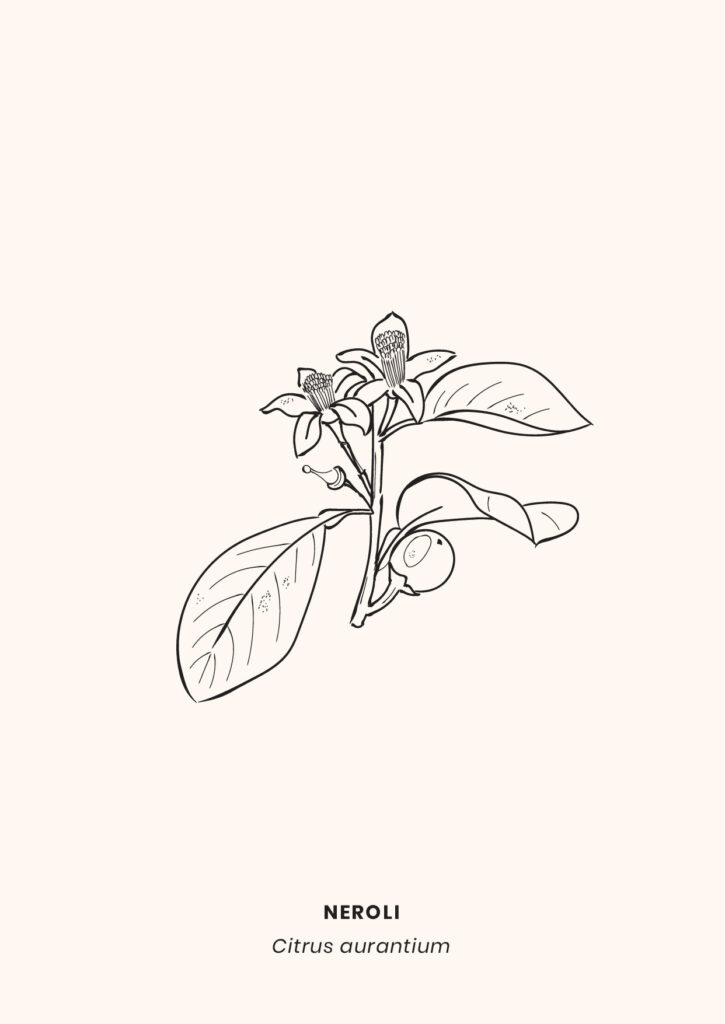 LaCamillerie_graphistereims_makeitbeauty-09