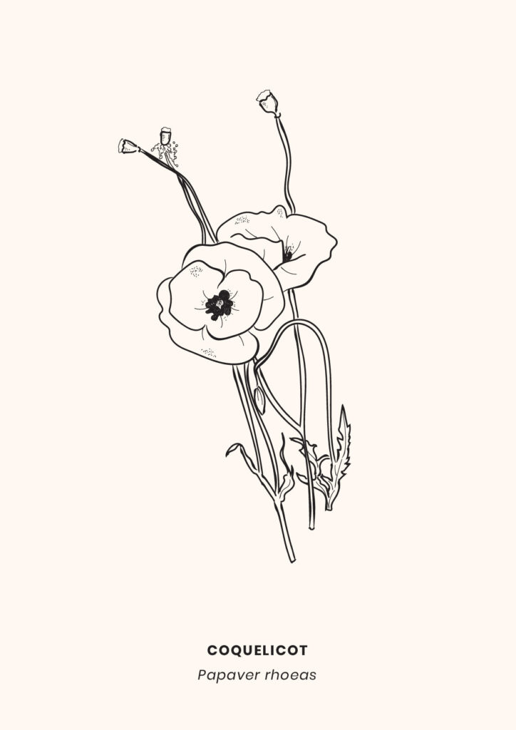 LaCamillerie_graphistereims_makeitbeauty-14