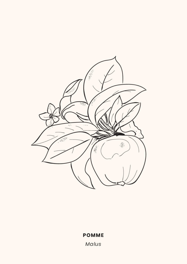 LaCamillerie_graphistereims_makeitbeauty-15