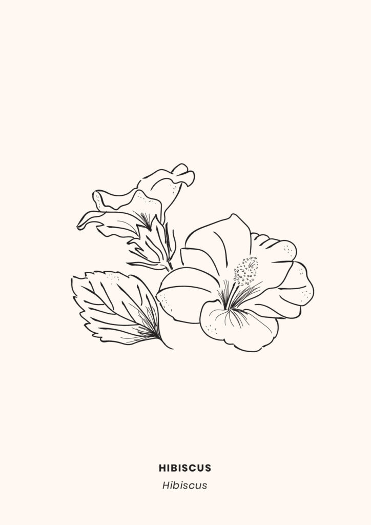 LaCamillerie_graphistereims_makeitbeauty-17